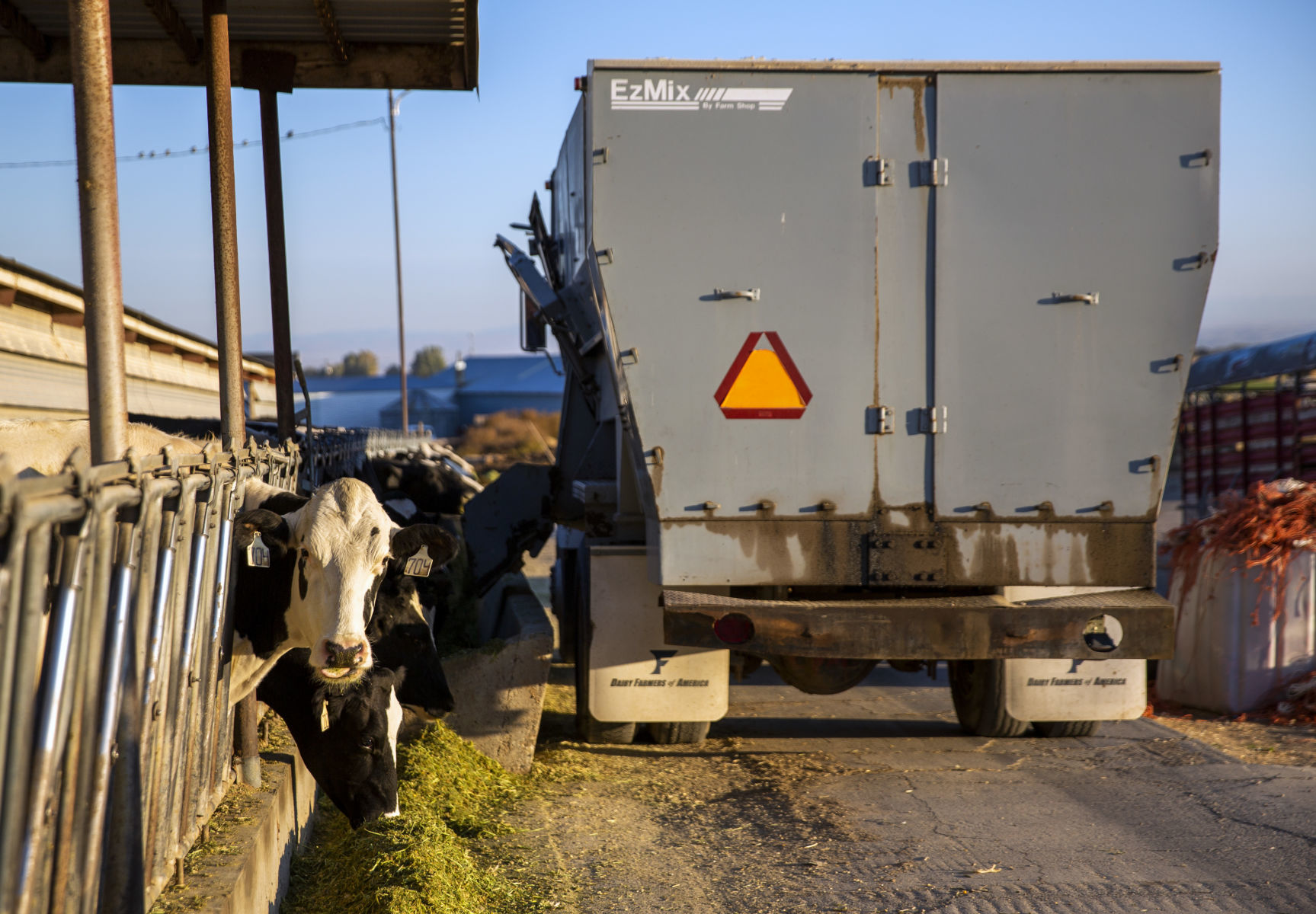 Dairy farm